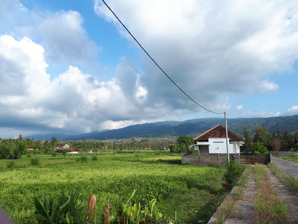 Gede Homestay Lovina  Luaran gambar
